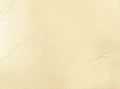 Reed Lambskin Leather Hides - Premium Buttery Soft Touch Skin