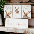 Hippity Hoppity Bunny