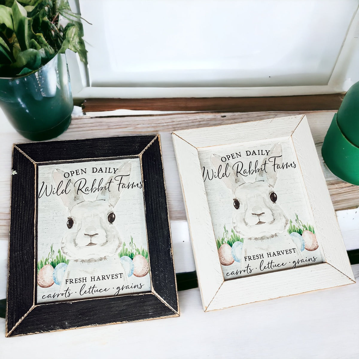 Wild Rabbit Farms