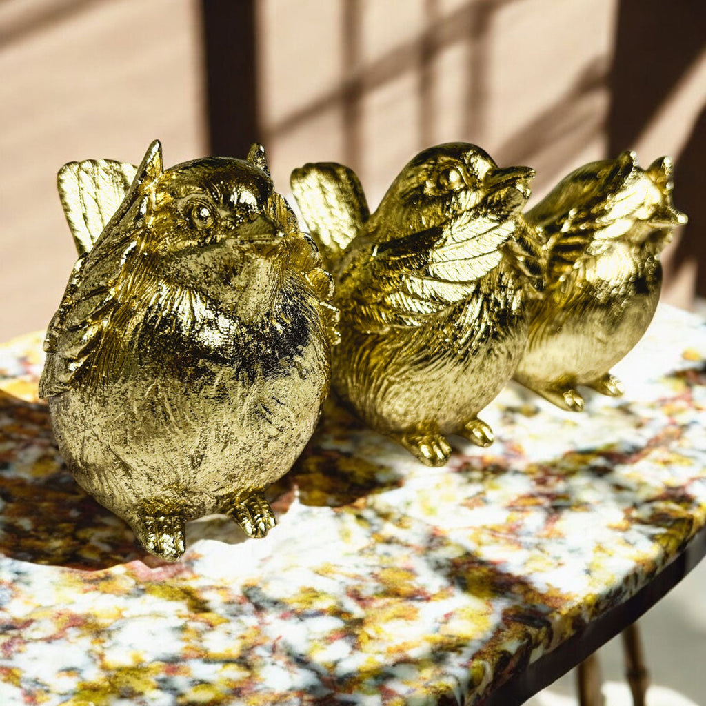 3 Wise Birds