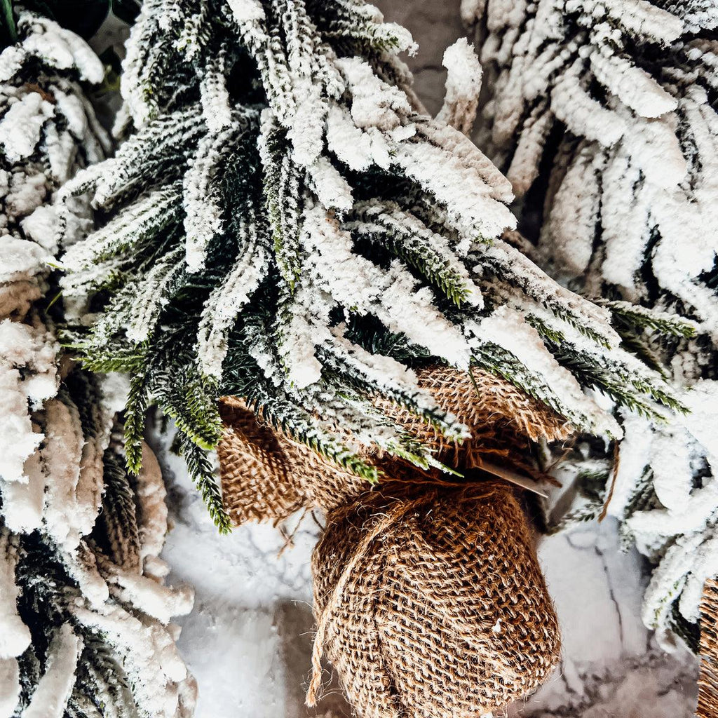 Snow Covered Trees OG