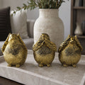 3 Wise Birds