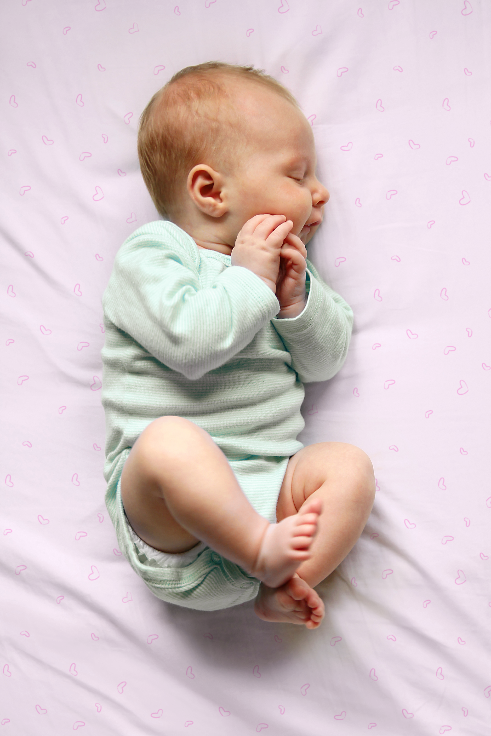 Jersey Knit Polyester Crib Sheet in Love Me True