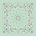 NT4414 Bandana Paisley Mint