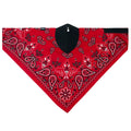 WNEO16 NEODANNA Mask- Cotton/Neoprene- Red Paisley