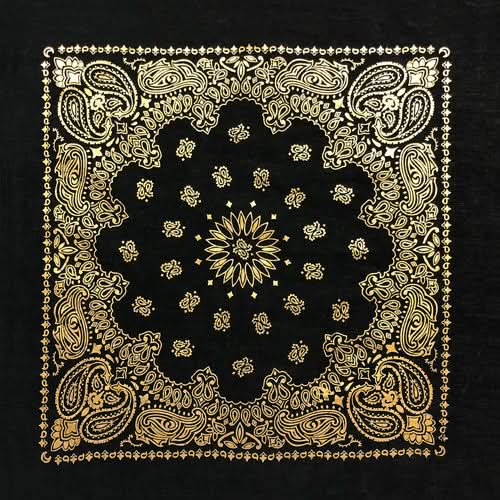 BD252 Black Gold Metalic Paisley