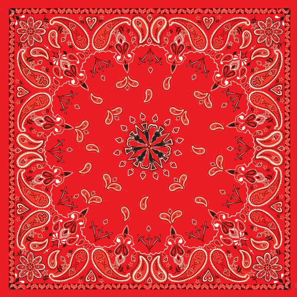 B3- Bandanna Red Paisley